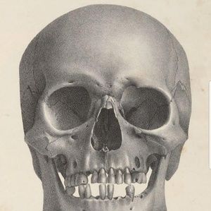 Meet your Posher, Joel